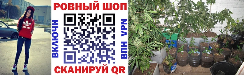 Магазины продажи наркотиков Рыбинск Конопля  Галлюциногенные грибы  ГАШ  Меф 