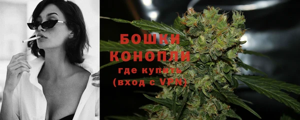 шишки Струнино