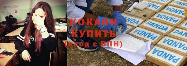 шишки Струнино