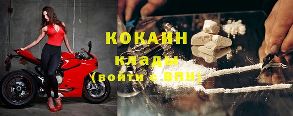 шишки Струнино