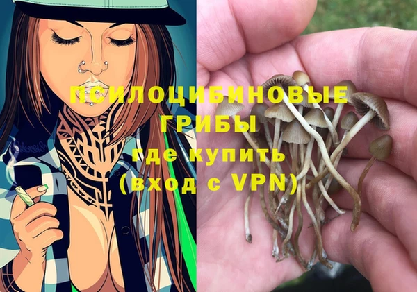 шишки Струнино