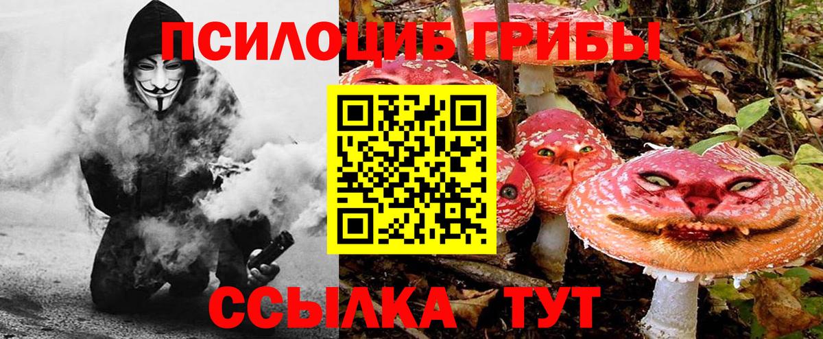 Рыбинск  Галлюциногенные грибы Magic Shrooms  Вход с VPN  Псилоцибиновые грибы Psilocybine cubensis 