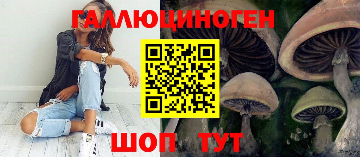 Галлюциногенные грибы Psilocybine cubensis Рыбинск