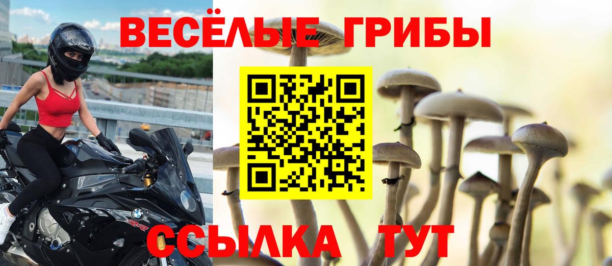 Галлюциногенные грибы мухоморы Рыбинск